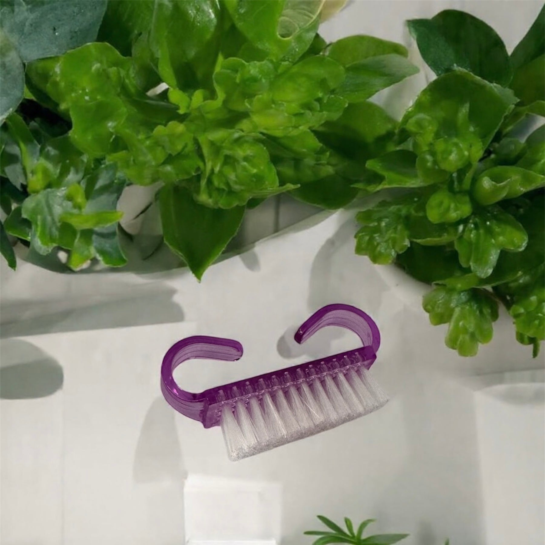 Nail Scrubbers (Purple)