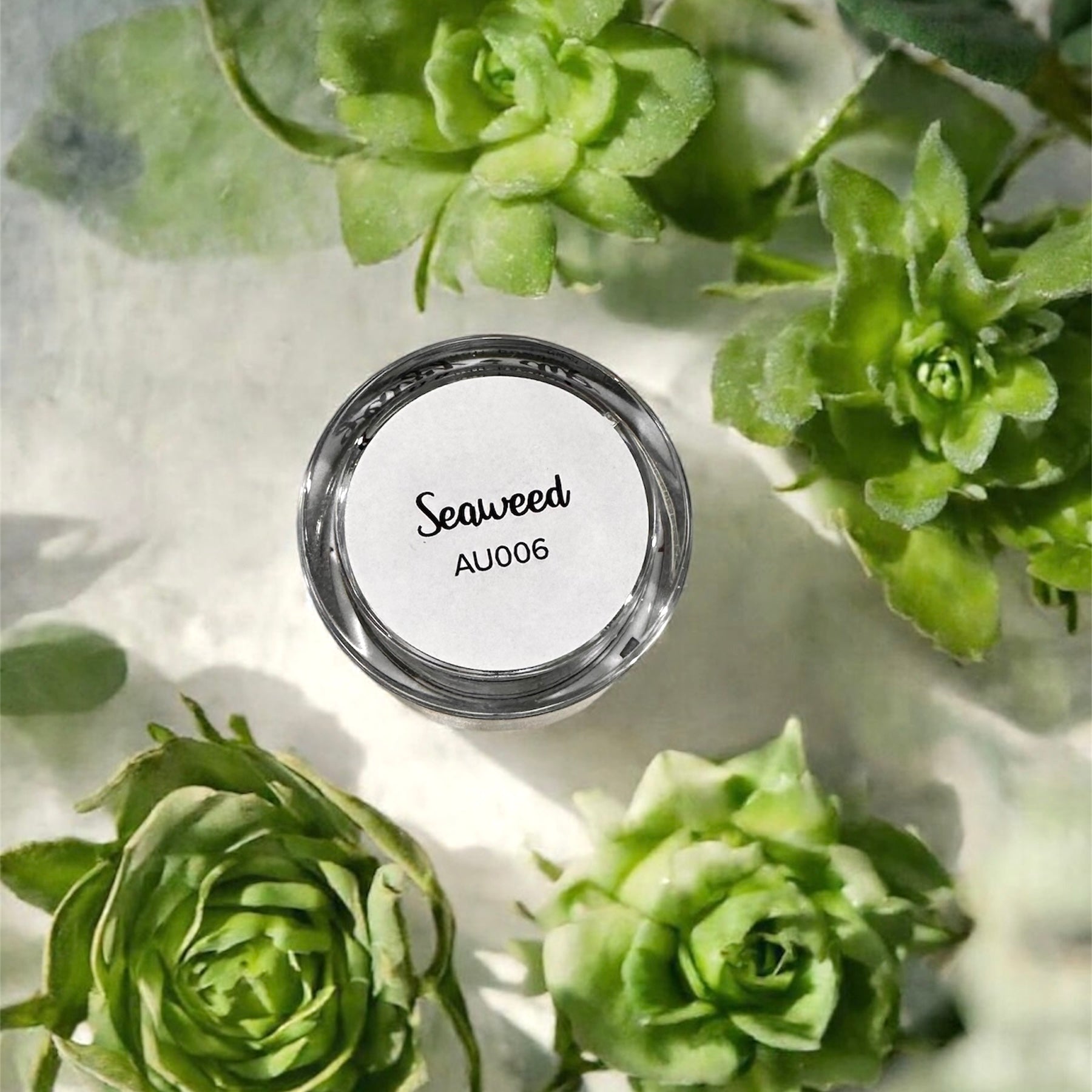 Seaweed