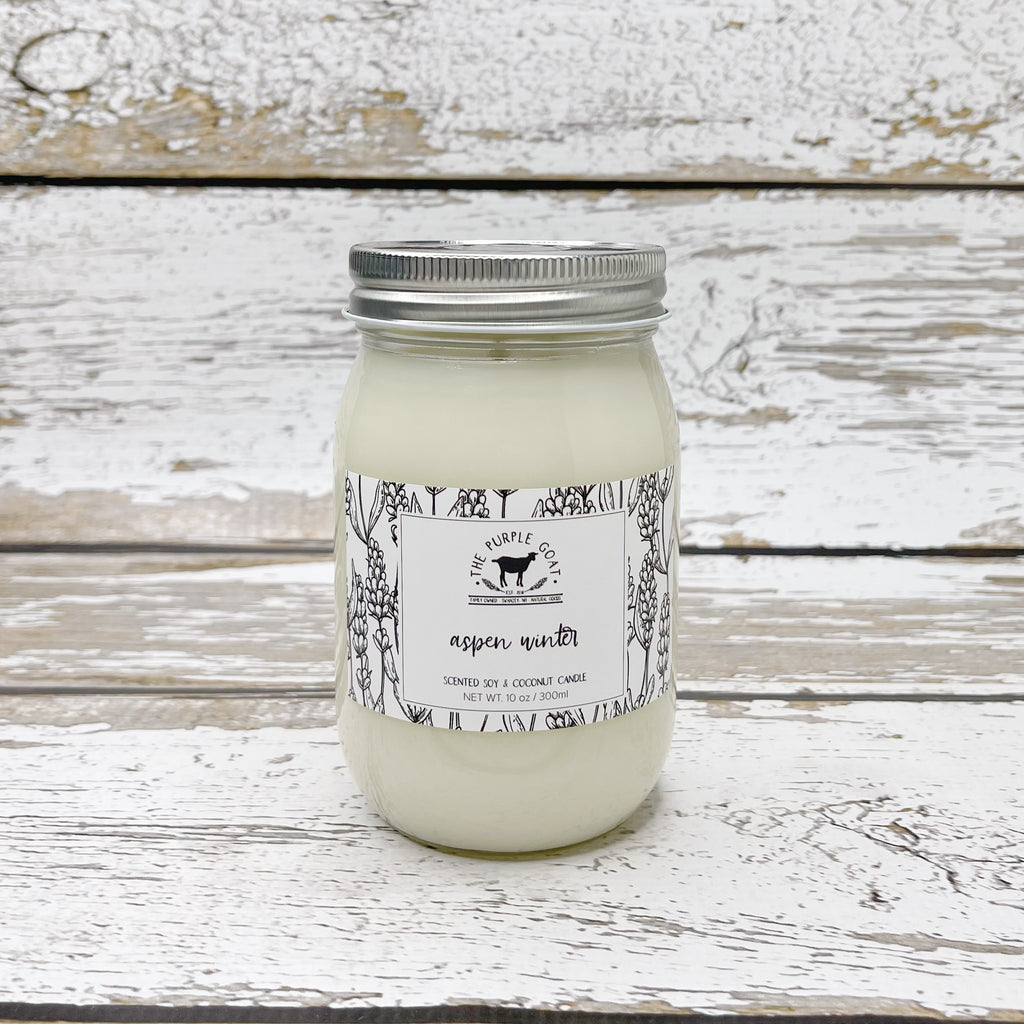 Aspen Winter Soy Candle