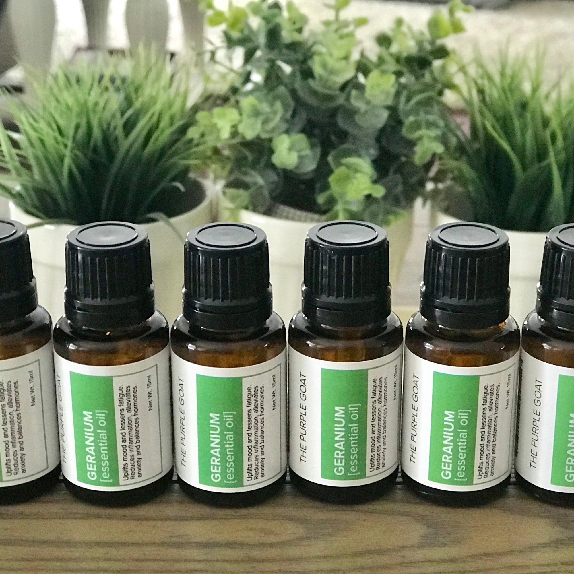 Geranium Essential Oil