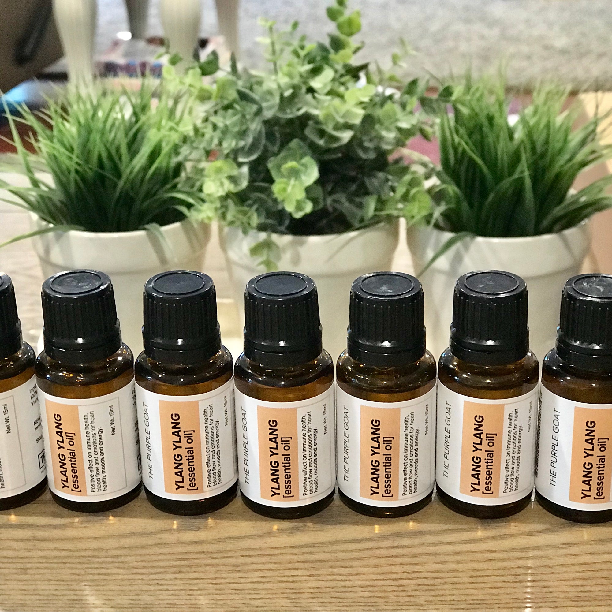 Ylang Ylang Essential Oil
